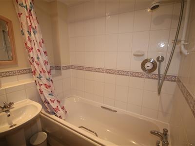 Picture 15